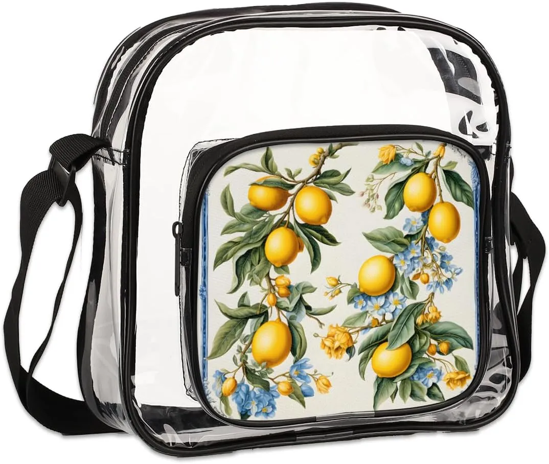 Clear Crossbody Bag with Adjustable Shoulder Strap, PVC Transparent Purse Messenger Bag for Women and Men