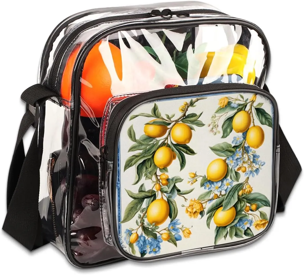 Clear Crossbody Bag with Adjustable Shoulder Strap, PVC Transparent Purse Messenger Bag for Women and Men