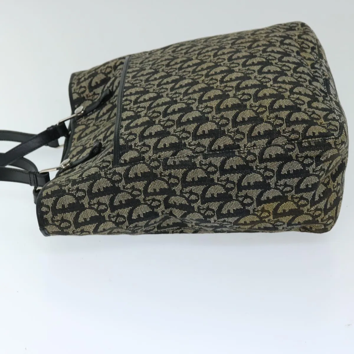Dior Trotter Canvas Shoulder Bag Shoulder Bag